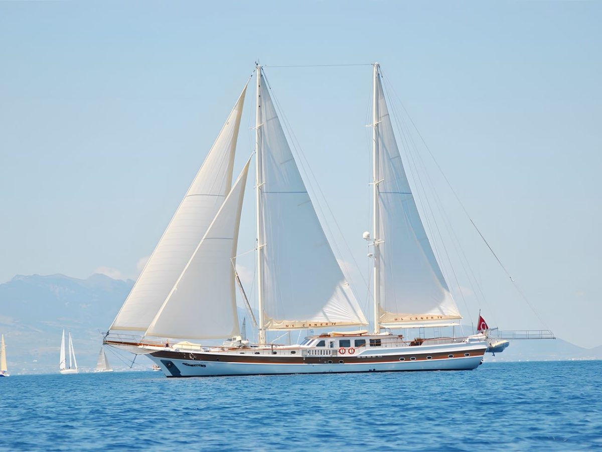 Caner IV under full sail on open water, with other sailing boats and a mountain coast behind her
