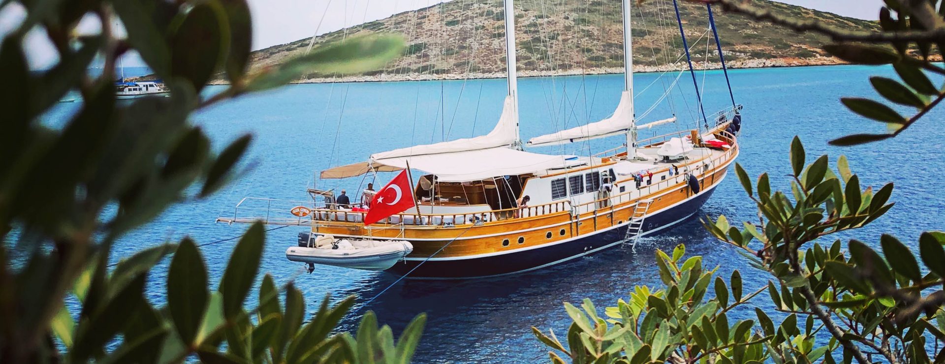 Kaya Guneri V at anchor in a bay, seen through olive branches, her tender alongside