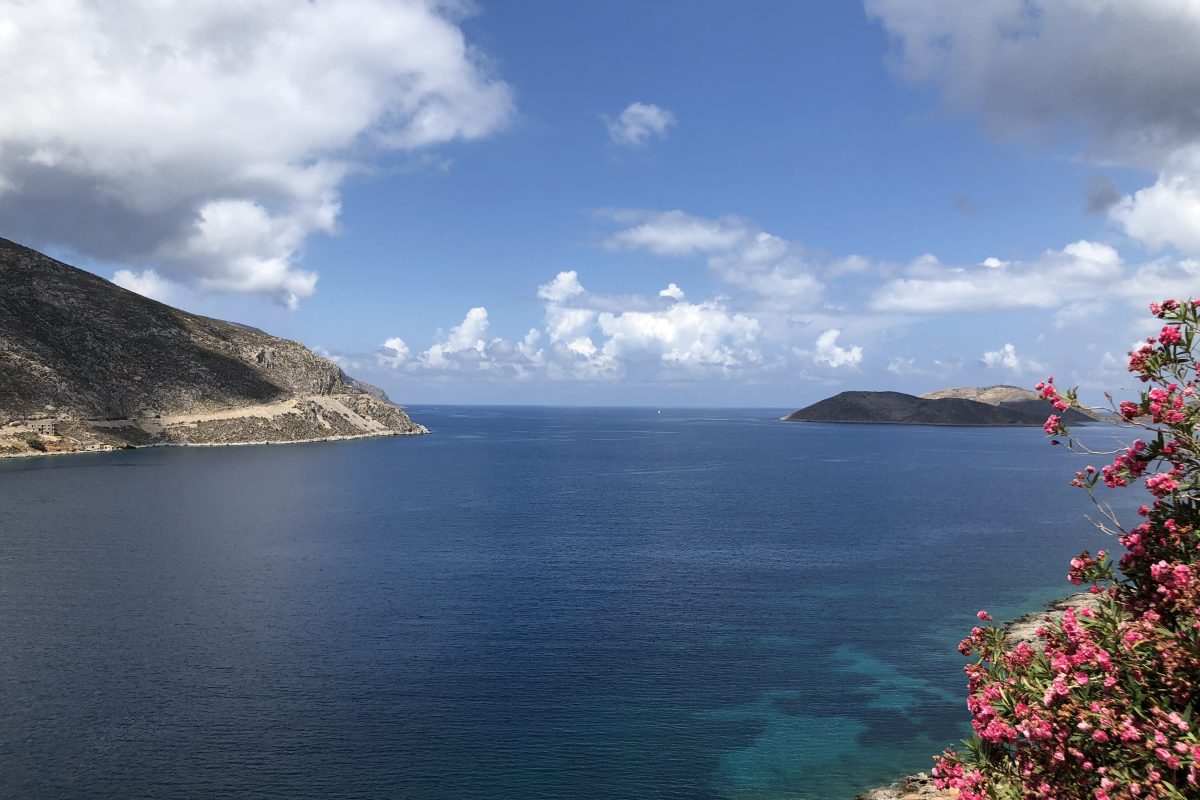 A cove seen through bougainvillea from the path above