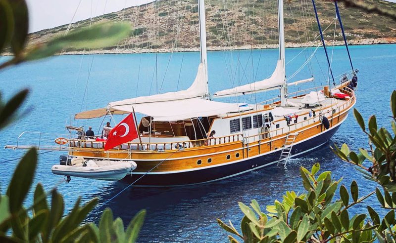 A gulet at anchor close to shore, framed by olive branches.
